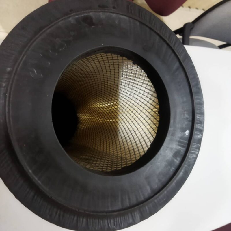 FILTRO DE AIRE PRIMARIO 1421339